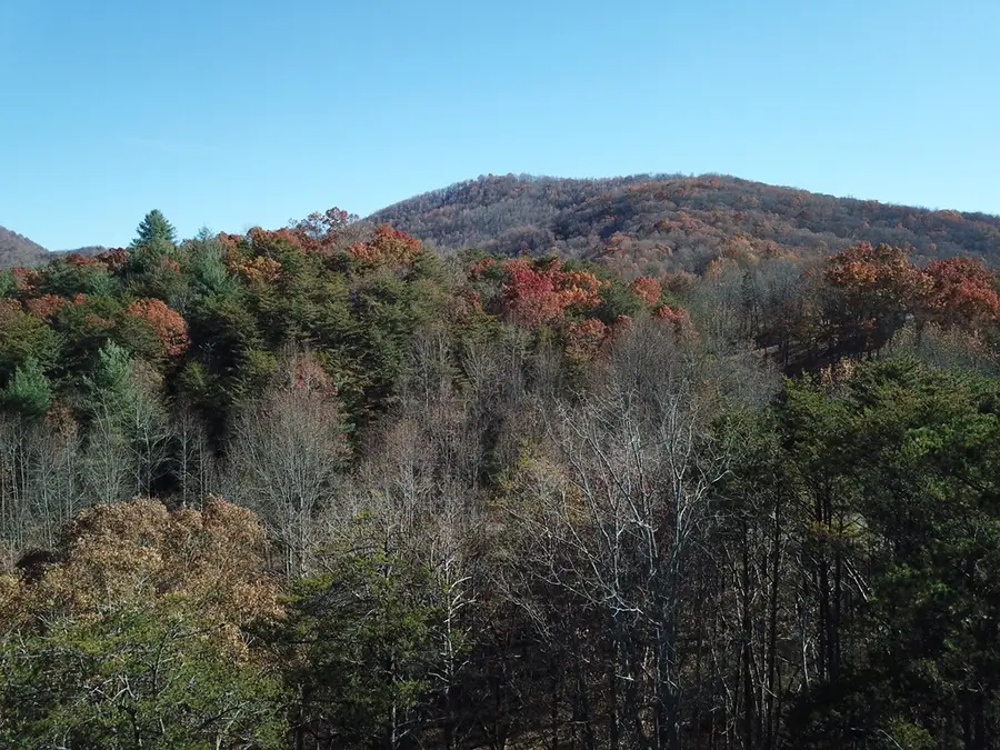 Lot 10 Firefly Ridge Road, Blairsville, GA 30512 - Image #3
