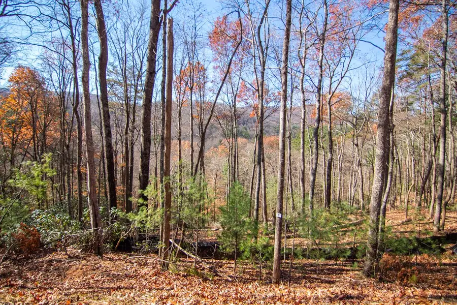 5 Big Creek, Blue Ridge, GA 30513 - Image #2