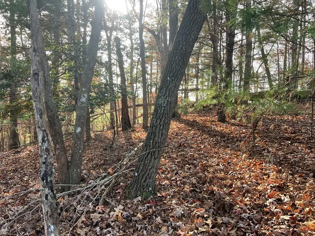 71 Dryad Court, Ellijay, GA 30540 - Image #1