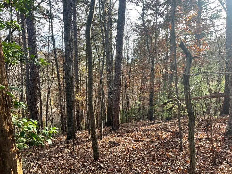 71 Dryad Court, Ellijay, GA 30540 - Image #2