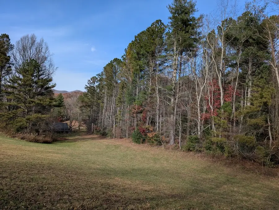 LT 2 Mr Bert Road, Hiawassee, GA 30548 - #2