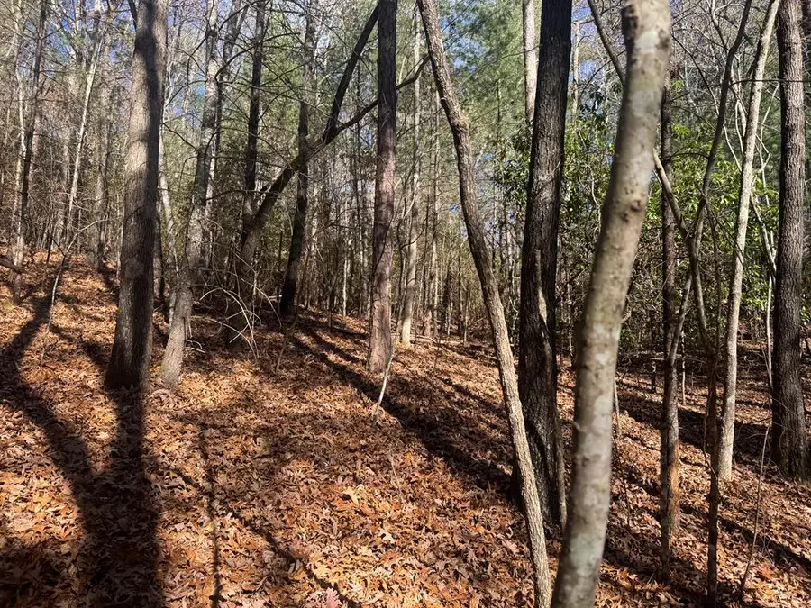 1982 Pinelog Church Road, Brasstown, NC 28902 - Image #3