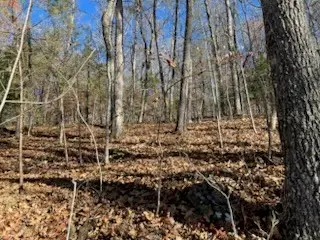 1918 Creekstone Lane, Young Harris, GA 30582 - #2