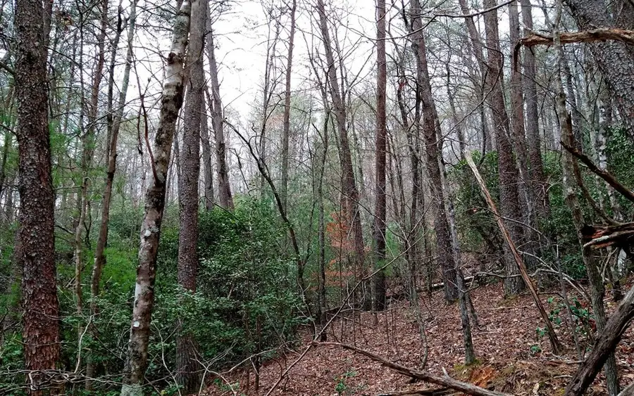 20 AC Hidaway Drive, Ellijay, GA 30536 - #3
