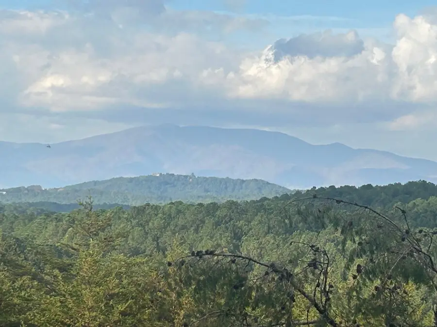 0 Singo Drive, Turtletown, TN 37391 - Image #2