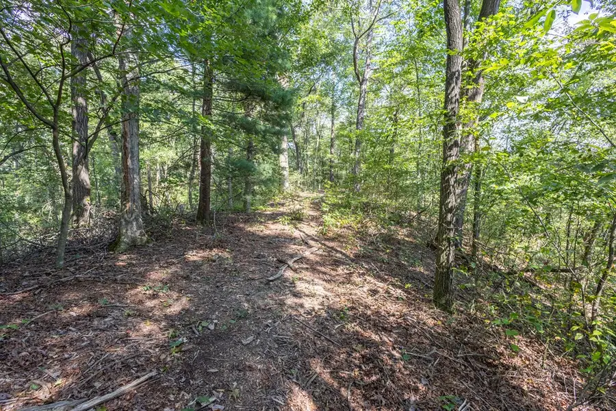 23.59 AC Chestnut Flats Road, Andrews, NC 28901 - Image #3