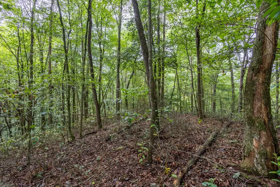 3 AC Chestnut Flats Road, Andrews, NC 28901 - Image #3