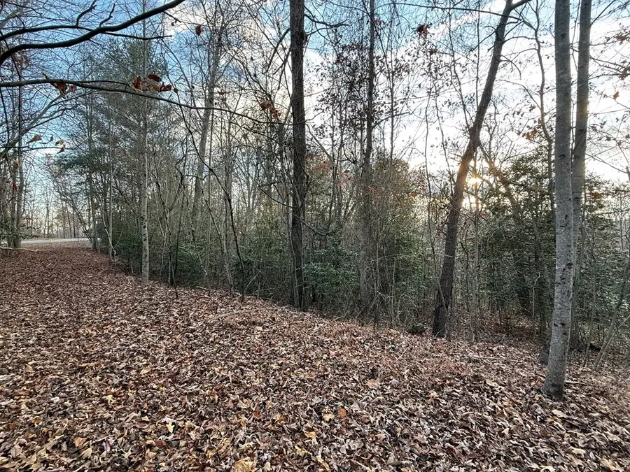 28/32 Stuart Ridge Road, Mineral Bluff, GA 30559 - Image #2