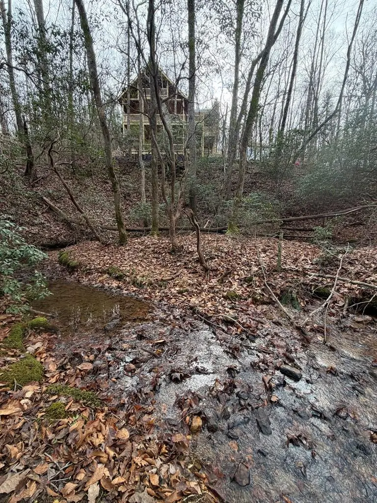 Lot A Magnums Trail, Blue Ridge, GA 30513 - #2