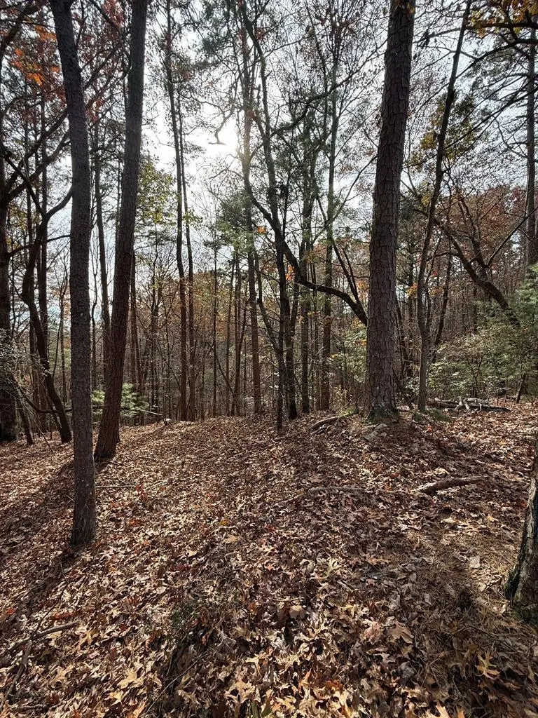 12 North Ridge Drive, Ellijay, GA 30540 - Image #2