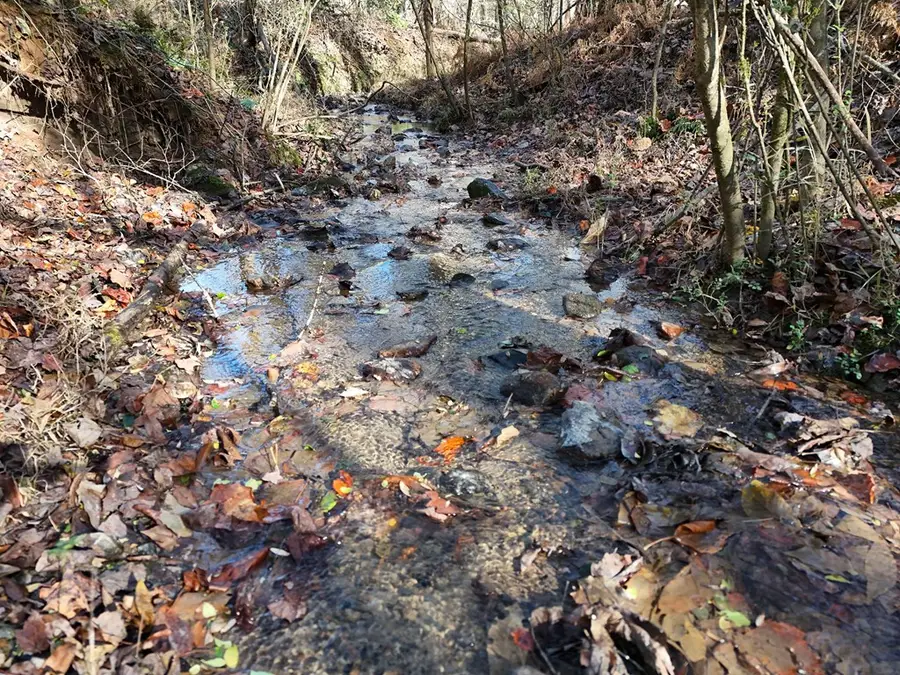 Lt 24 Winding Creek Road, Blue Ridge, GA 30513 - Image #2