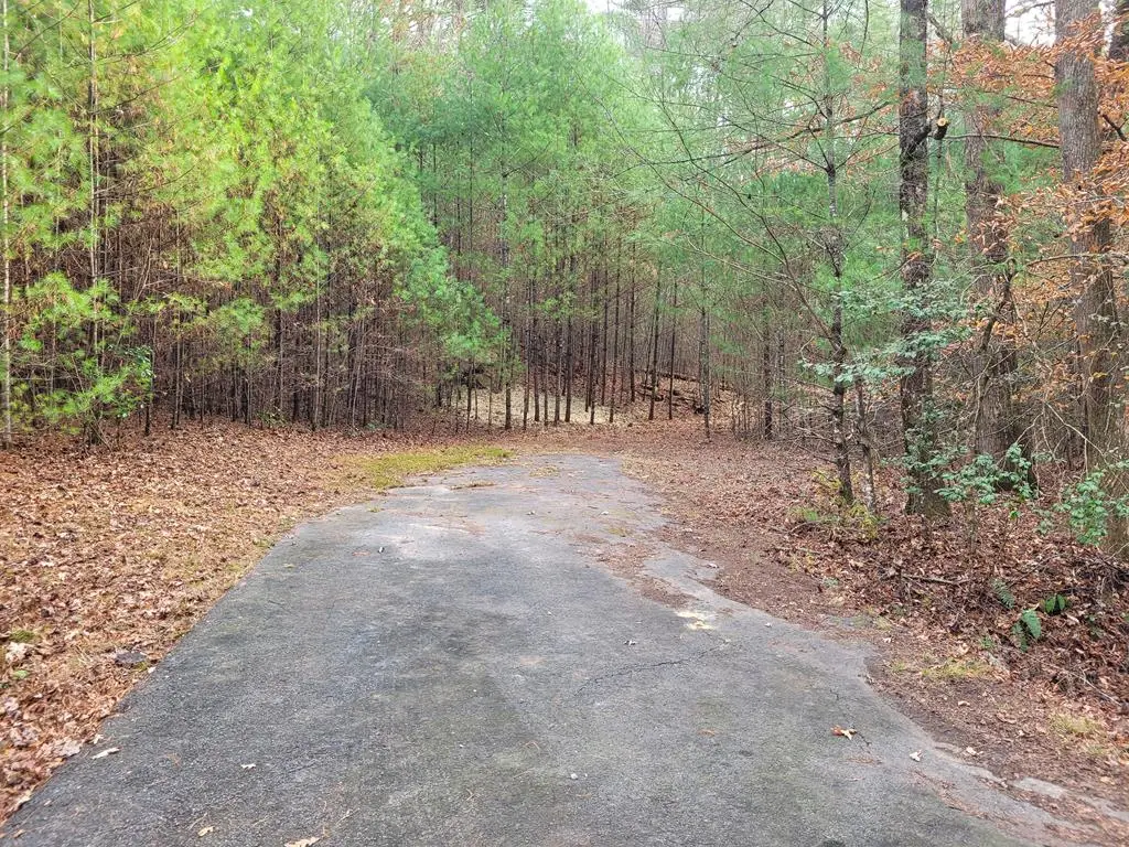 Lot 31 Poplar Cove, Hayesville, NC 28904 - Image #1