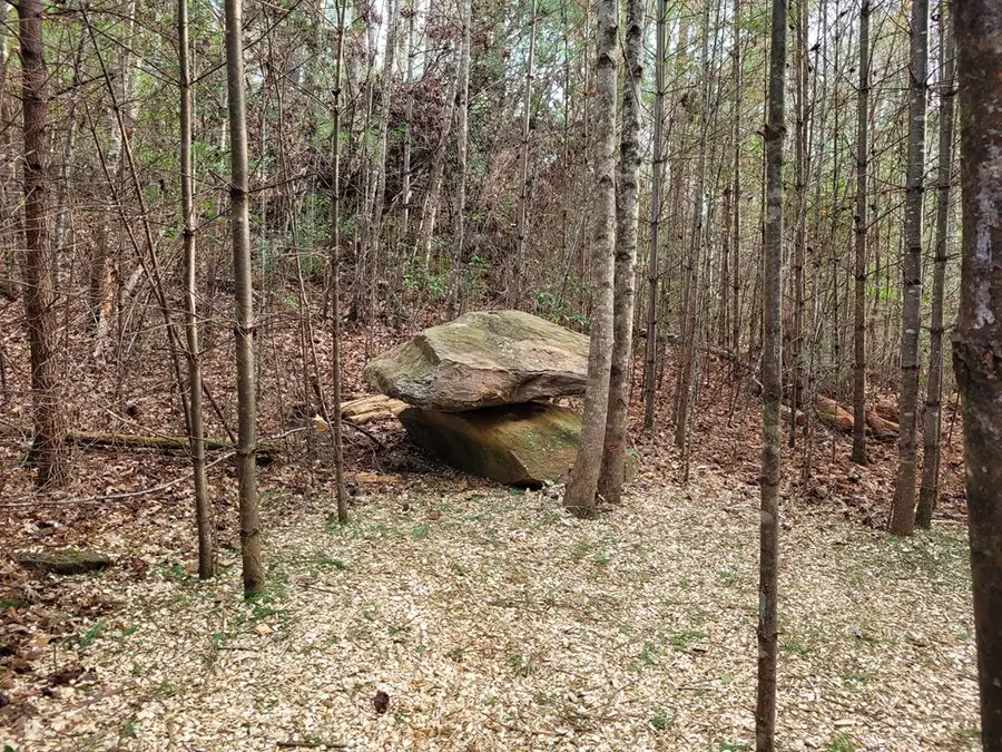 Lot 31 Poplar Cove, Hayesville, NC 28904 - Image #2