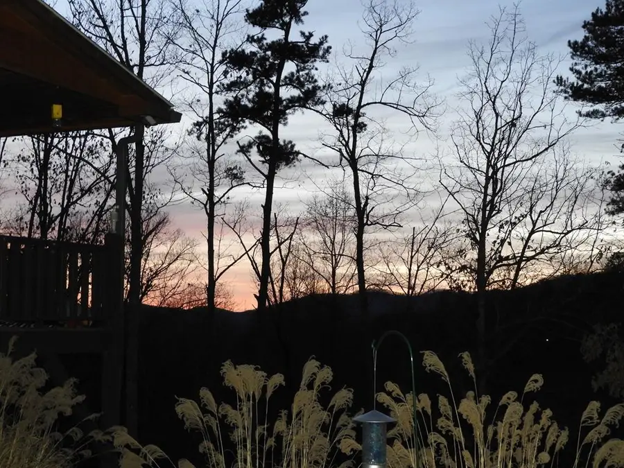 380 Bear Trail, Murphy, NC 28906 - Image #3