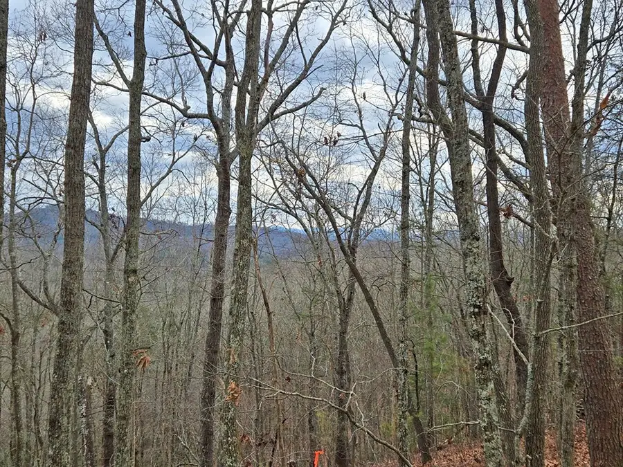 2372 Humphrey Mill Road, Mineral Bluff, GA 30559 - #3