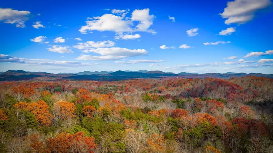 290 Weaver Creek Overlook, Blue Ridge, GA 30513 - Image #3