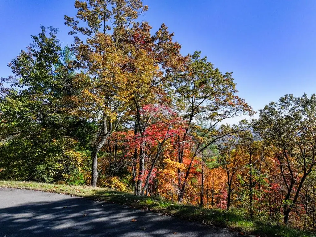Lot 46 Utana Bluffs Trail, Ellijay, GA 30540 - Image #1