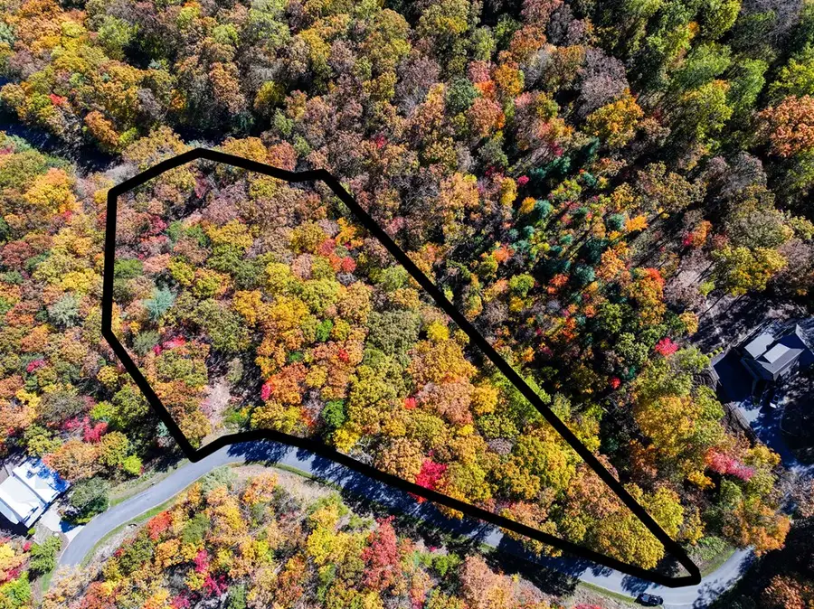 Lot 46 Utana Bluffs Trail, Ellijay, GA 30540 - Image #2