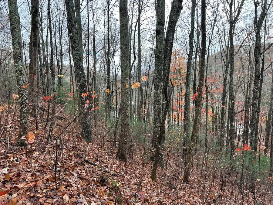 Lt19-21 Earl Shelton Road, Blairsville, GA 30512 - Image #3