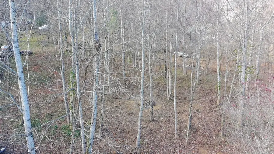 LOT 2 Eagle Heights Road, Hiawassee, GA 30546 - Image #2