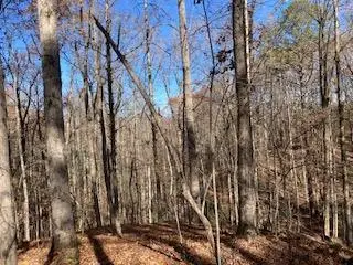 Lot 260 Catawba Circle, Ellijay, GA 30540 - Image #2