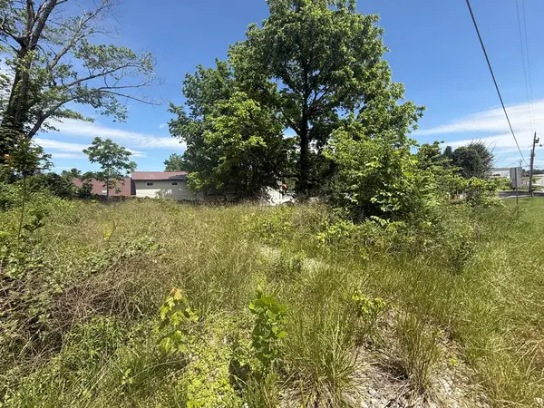 LT 19 E Second Street, Blue Ridge, GA 30513