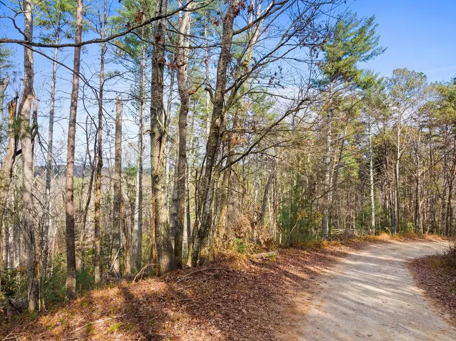 340 Morton Drive, Ellijay, GA 30540 - Image #2