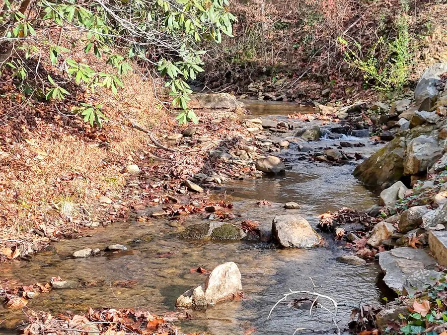 164 Bear Bend, Blairsville, GA 30512 - #2