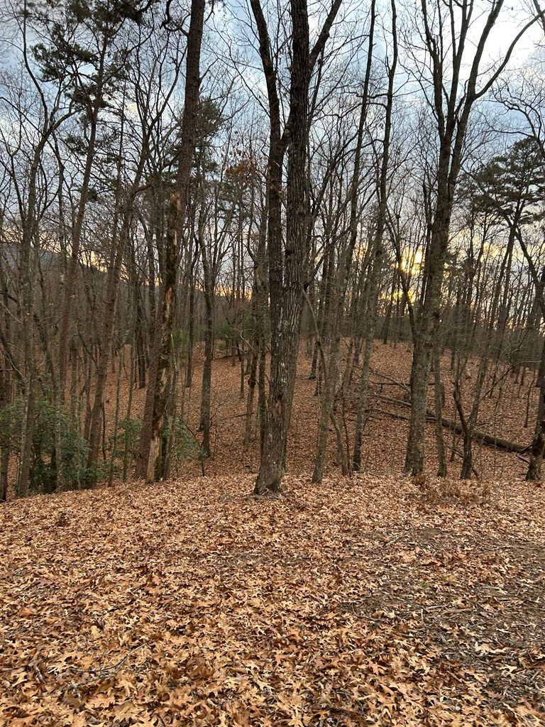 0 Tracks Hollow, Murphy, NC 28906 - Image #3