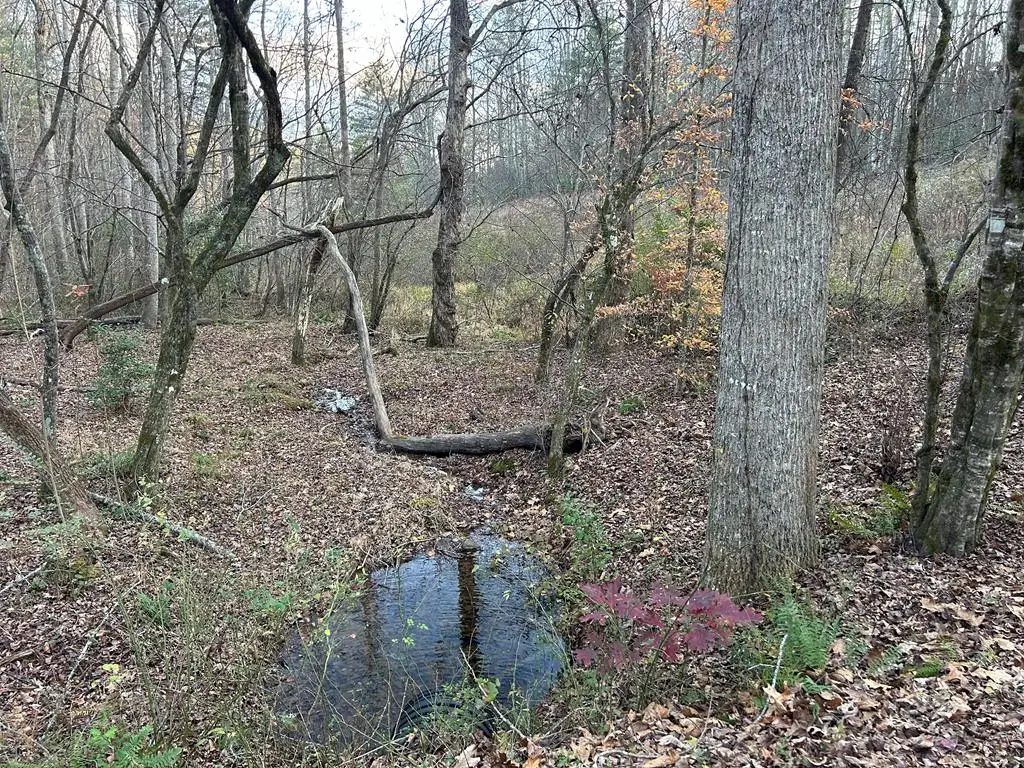 Lot 12 Tombstone Drive, Blairsville, GA 30512 - Image #1