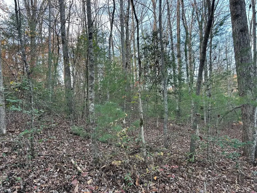Lot 12 Tombstone Drive, Blairsville, GA 30512 - Image #2