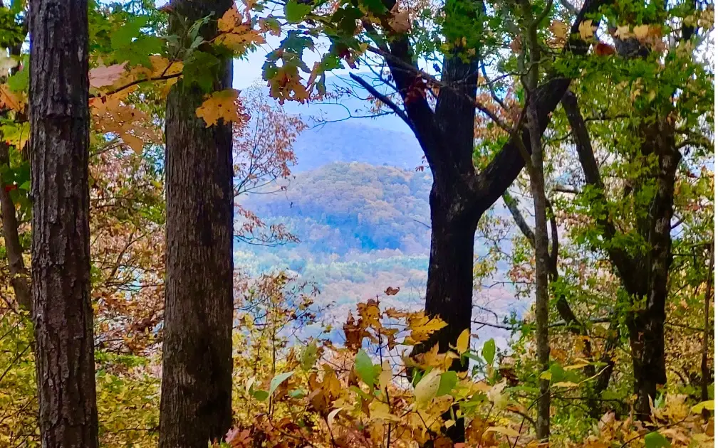 43.91 Old Burnt Mountain Road, Ellijay, GA 30540 - Image #1