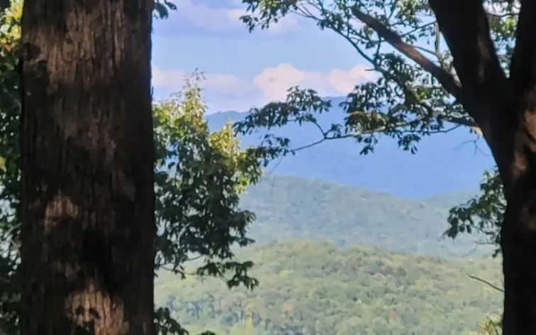 43.91 Old Burnt Mountain Road, Ellijay, GA 30540 - Image #2