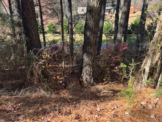 1141 Old Murphy Road, Murphy, NC 28906 - Image #1