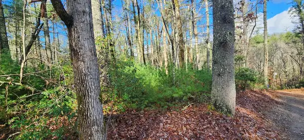 3 Lots Ridgecrest Drive, Blue Ridge, GA 30513