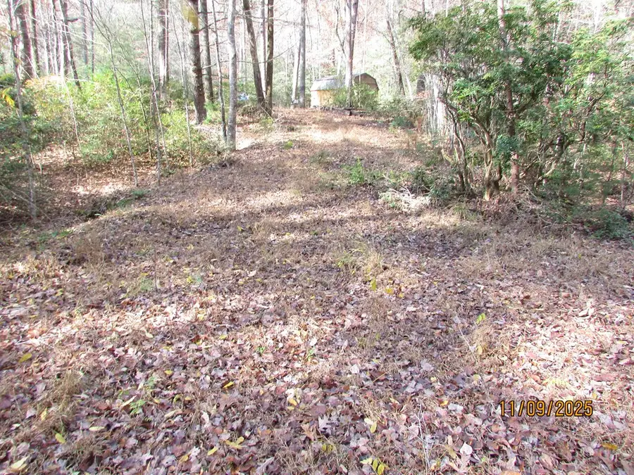 198 Big Rock Drive, Hayesville, NC 28904 - Image #3