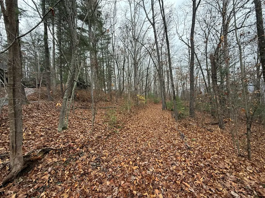 0 Rosenkrandz Lane, Hayesville, NC 28904 - Image #3