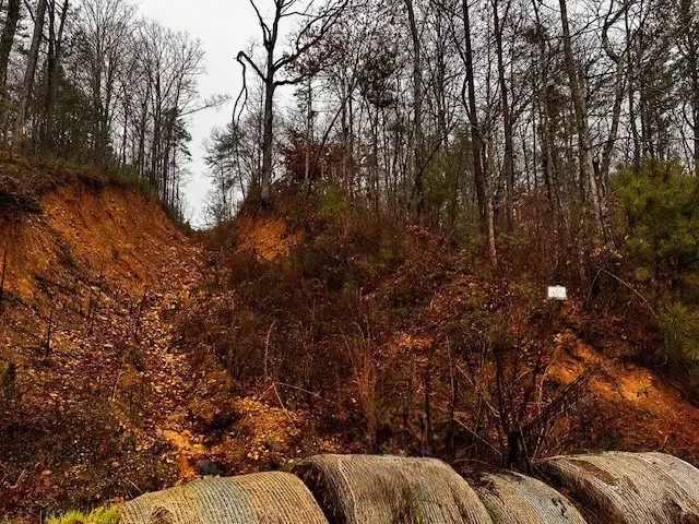 000 Talona Road, Ellijay, GA 30540 - #3