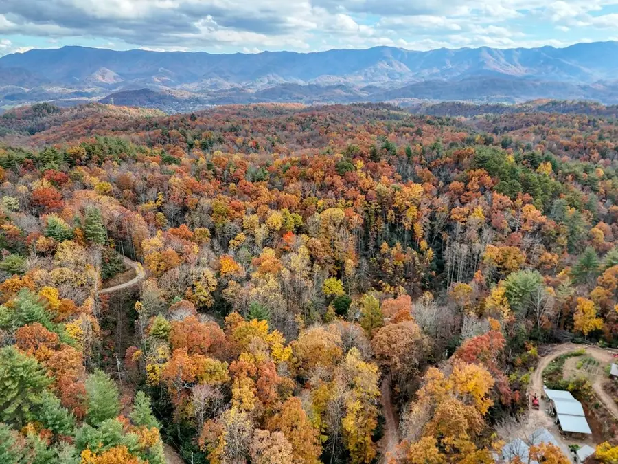 135.49ac Webb Creek Road, Andrews, NC 28901 - Image #2