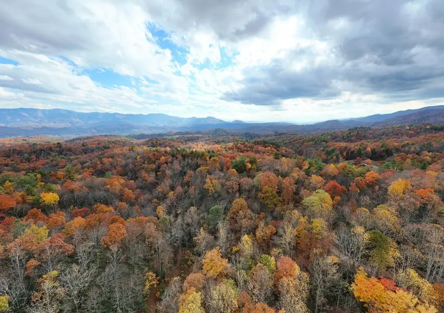 135.49ac Webb Creek Road, Andrews, NC 28901 - Image #3