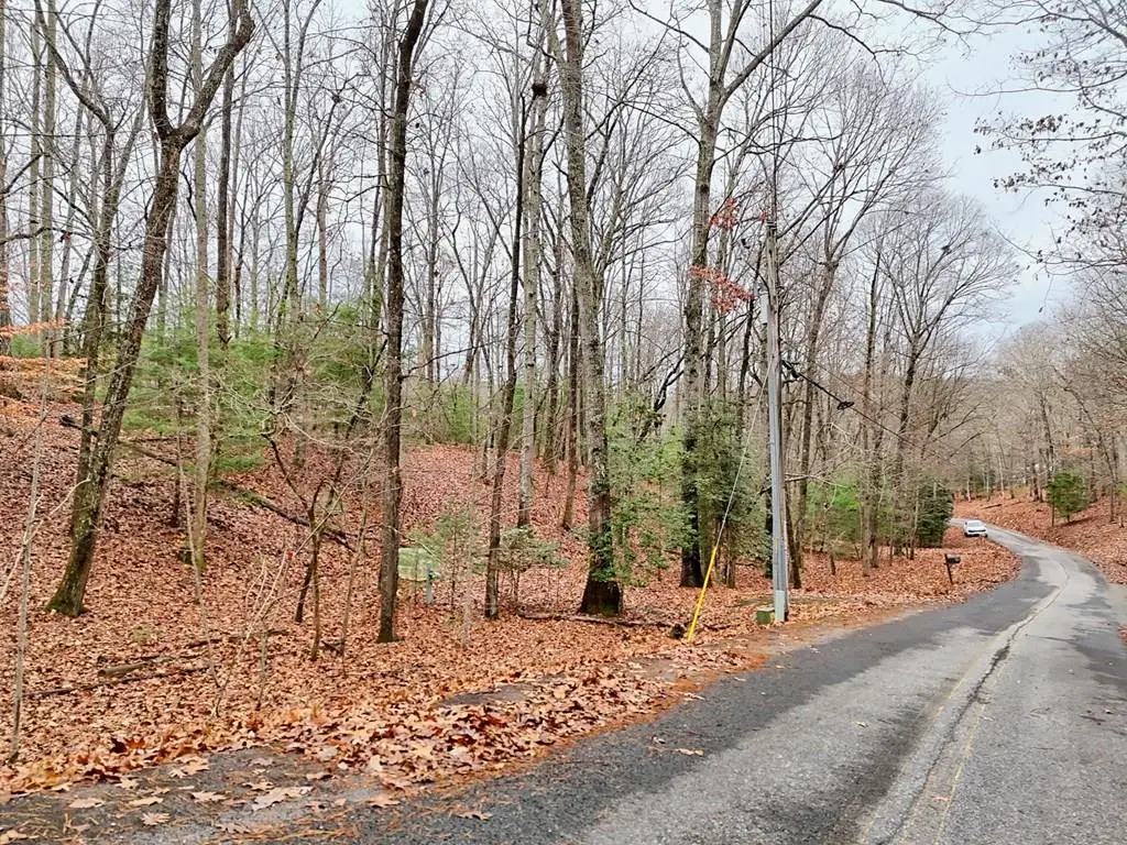 Tract 3 Wilmar Circle, Blairsville, GA 30512 - Image #1