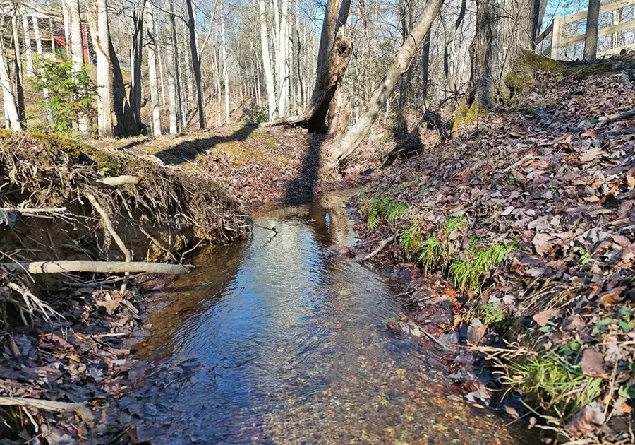 154 Hollyanne Pond, Hayesville, NC 28904 - Image #2