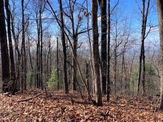 LOT 274 Heron Court, Ellijay, GA 30540 - Image #1