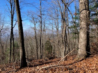 LOT 274 Heron Court, Ellijay, GA 30540 - Image #2