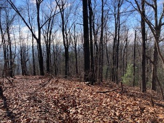 LOT 274 Heron Court, Ellijay, GA 30540 - Image #3