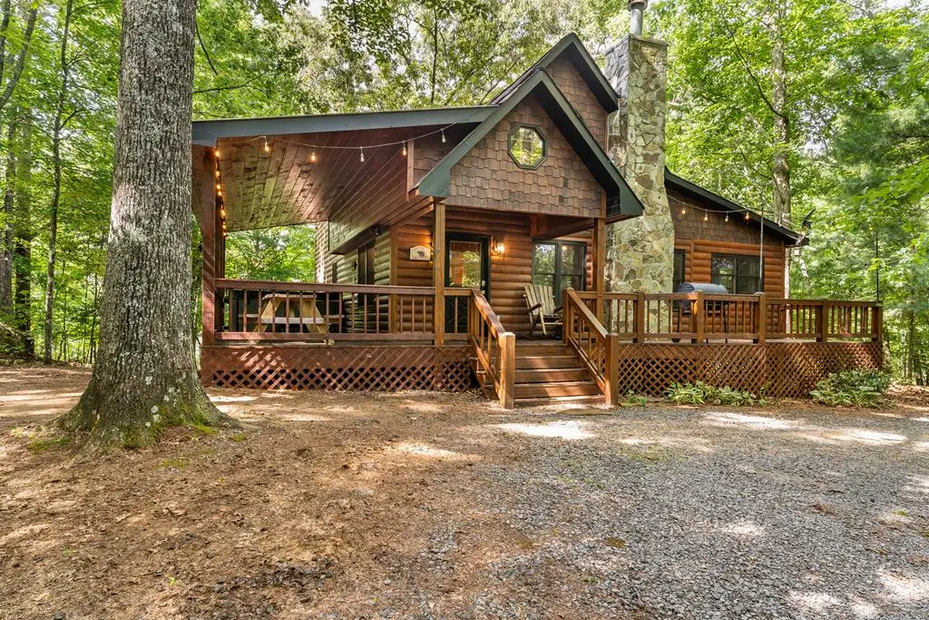 162 Little Falls Drive, Mineral Bluff, GA 30559 - #1
