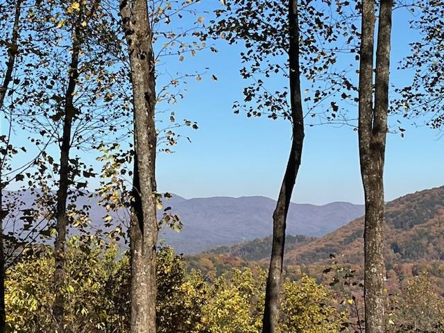 1189 Walnut Ridge, Ellijay, GA 30536 - Image #1