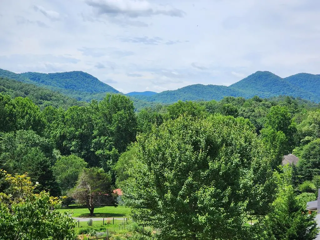2276 Lovingood Rd., Hiawassee, GA 30546 - #1