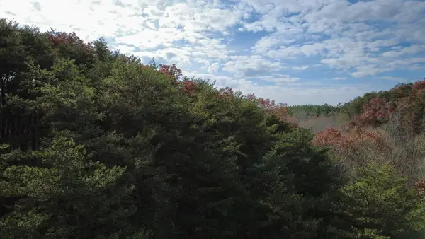 Tract 30 Gillespie Road, Fairmont, GA 30139