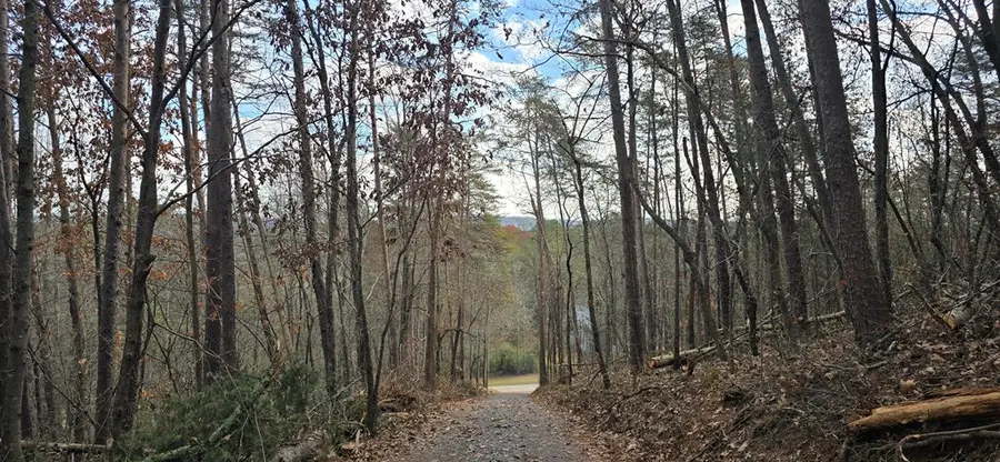 Tract 30 Gillespie Road, Fairmount, GA 30139 - Image #3